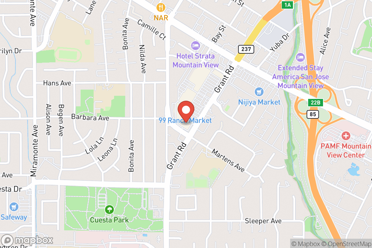 Mountain View Overhead Garage Door Repair