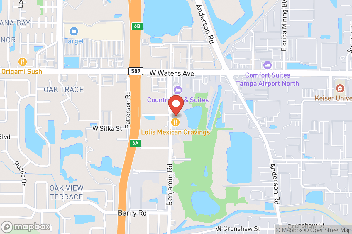 Tampa Garage Door Pros